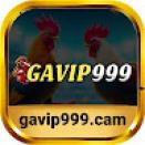 gavip999cam