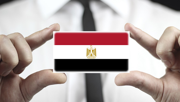 Why Do Startups In Egypt Suffer? (Part 1/2) 