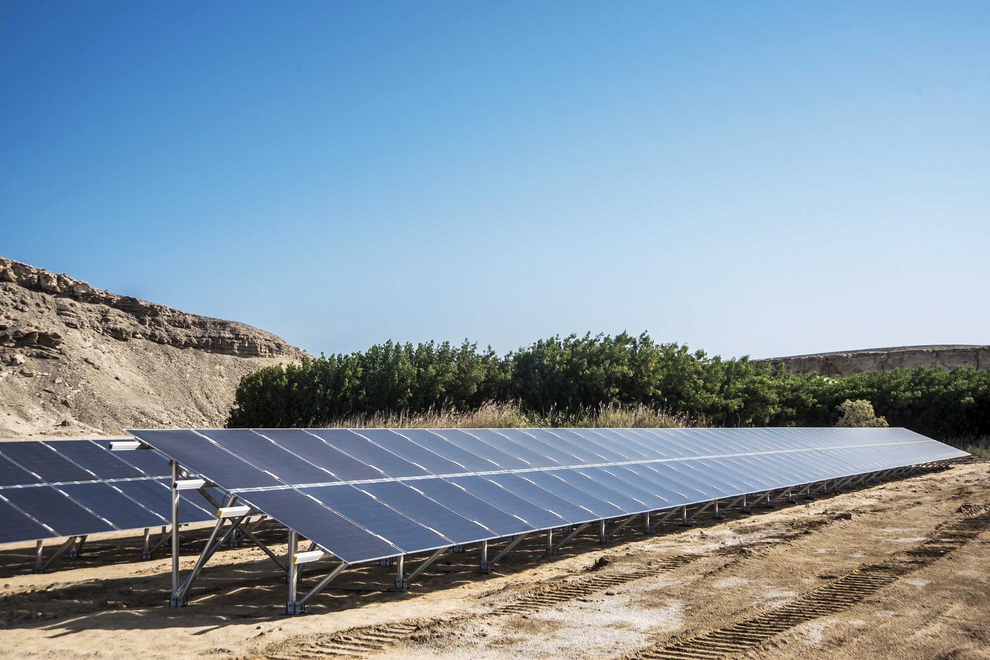 اختيار شركة الكرم المصرية للطاقة الشمسية من الشركات الملهمة في أفريقيا لعام 2019