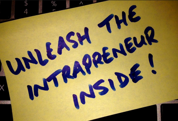 The Intrapreneur Within Our Organisations