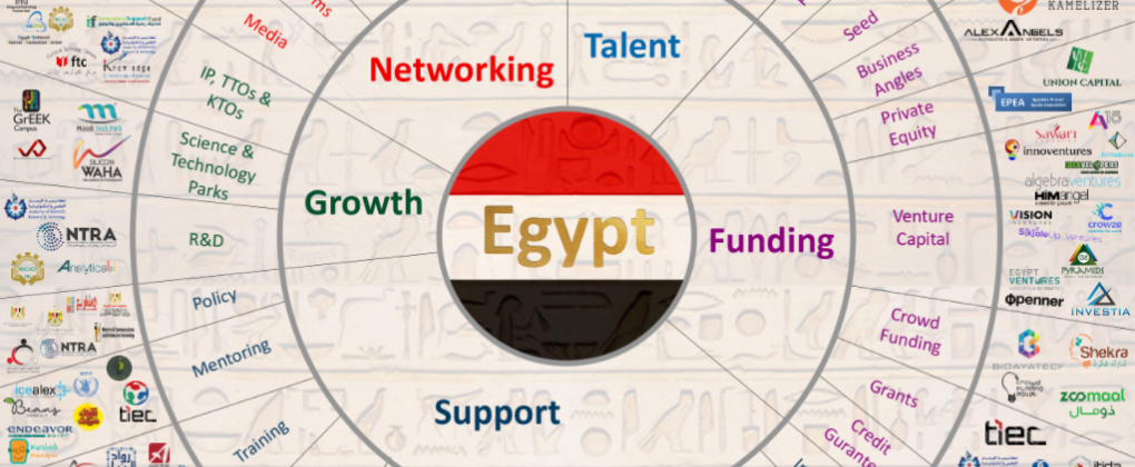 351 Entities in The Seventh Edition Of The Entrepreneurship Ecosystem Map In Egypt