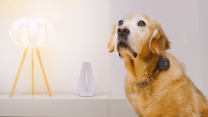 Findster Home: Your Pets’ Location and Health Monitored 24/7