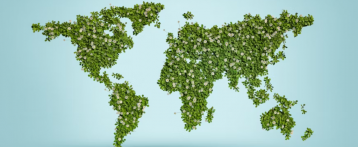 Egypt’s Green Transition  Where Entrepreneurship Meets Sustainability