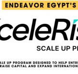 إنديفور مصر تطلق برنامج XCELERISE لدعم رواد الأعمال المحليين
